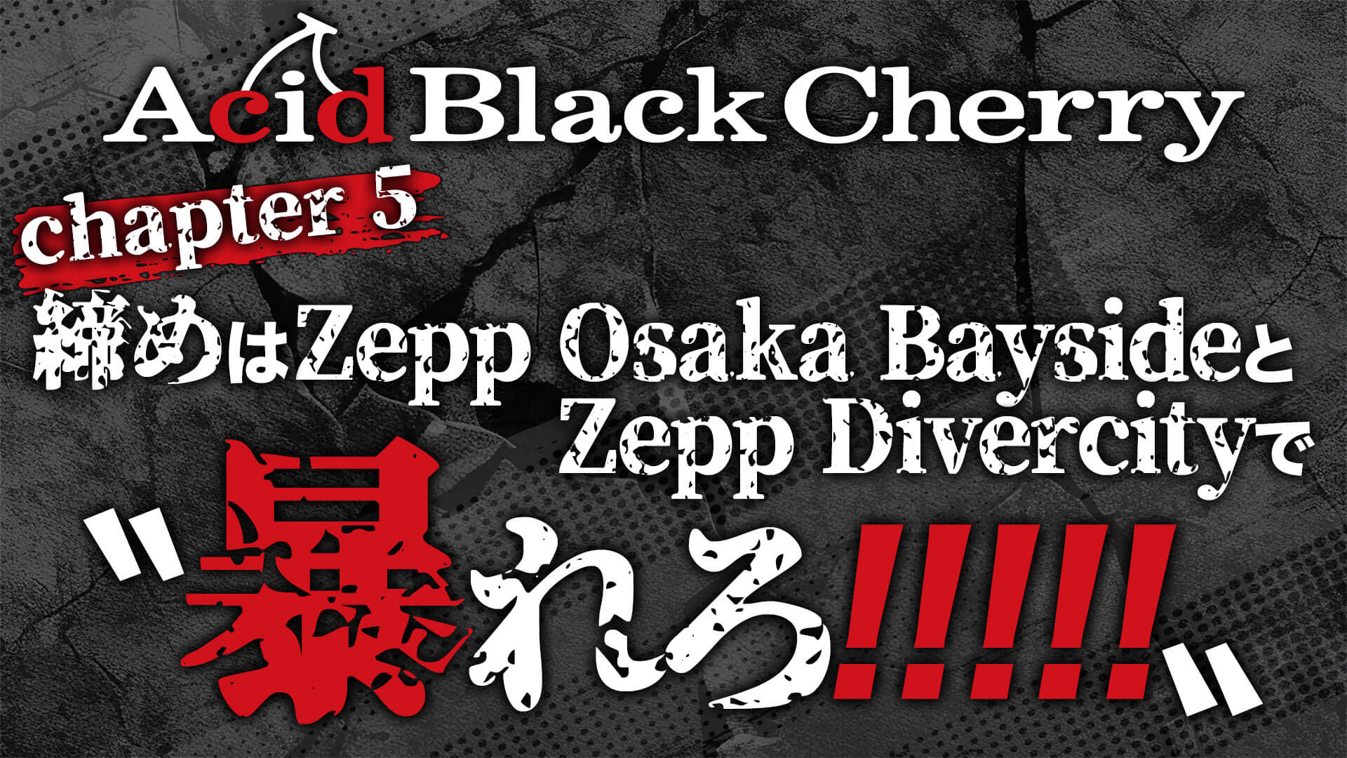 Acid Black Cherry ミニクリアファイル、トレカ　９点セット Acid Black Cherry ミニクリアファイル、トレカ 9点セット Acid