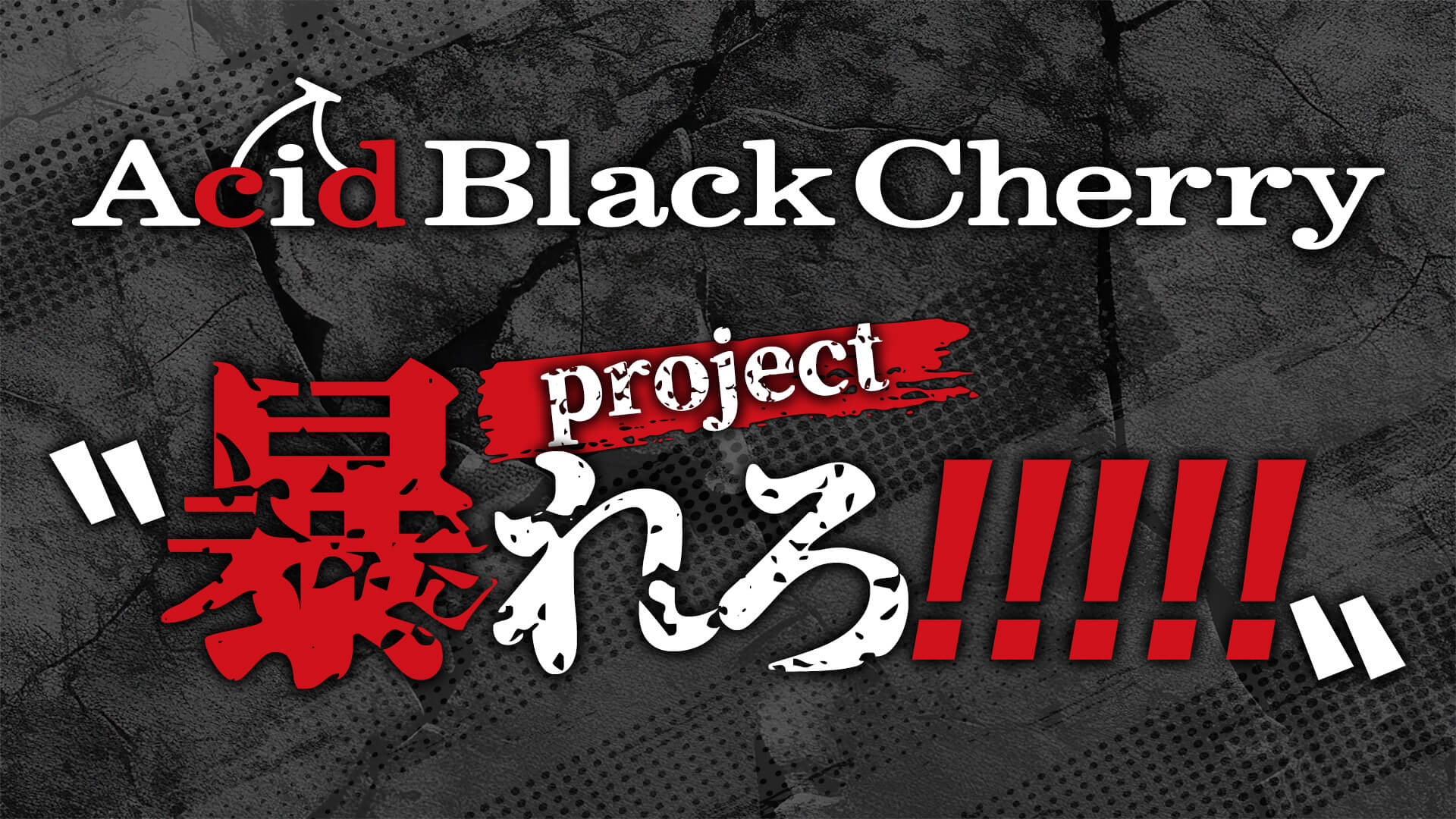 Acid Black Cherry 2007 FREE LIVE 缶バッジ Acid Black Cherry アシッドブラックチェリー 缶バッジ 11個の